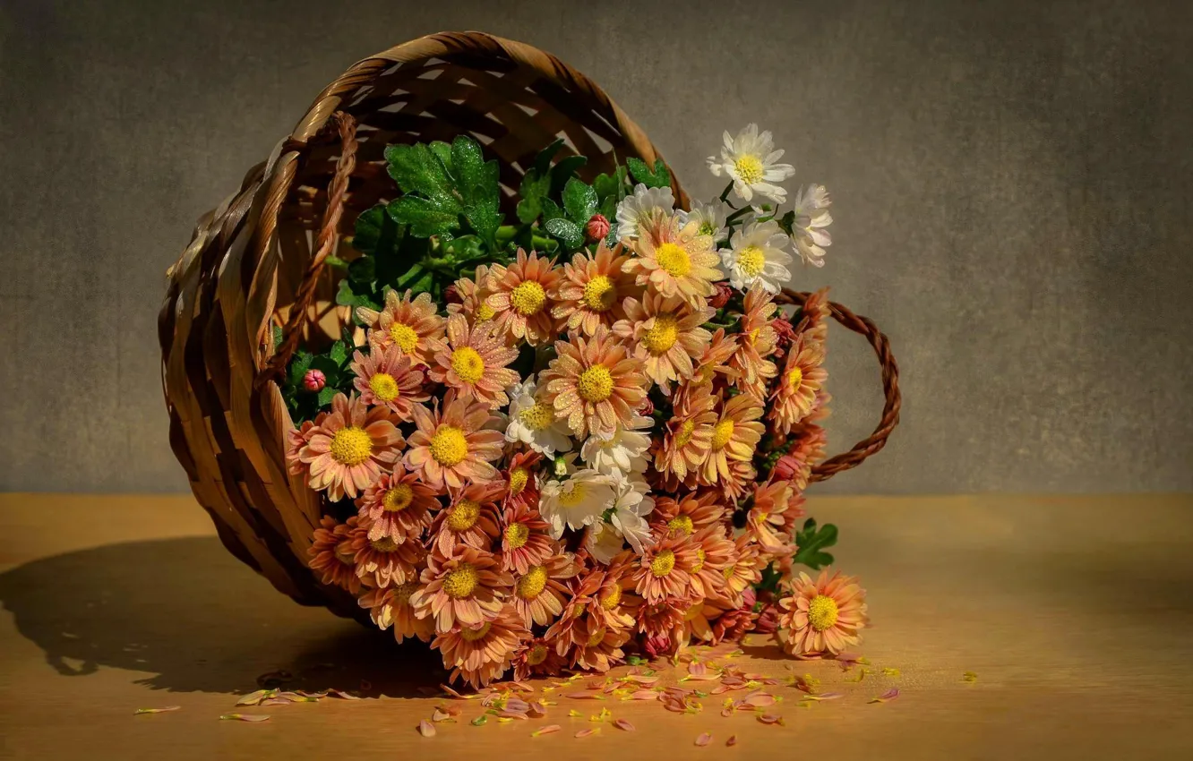 Photo wallpaper water, drops, flowers, basket