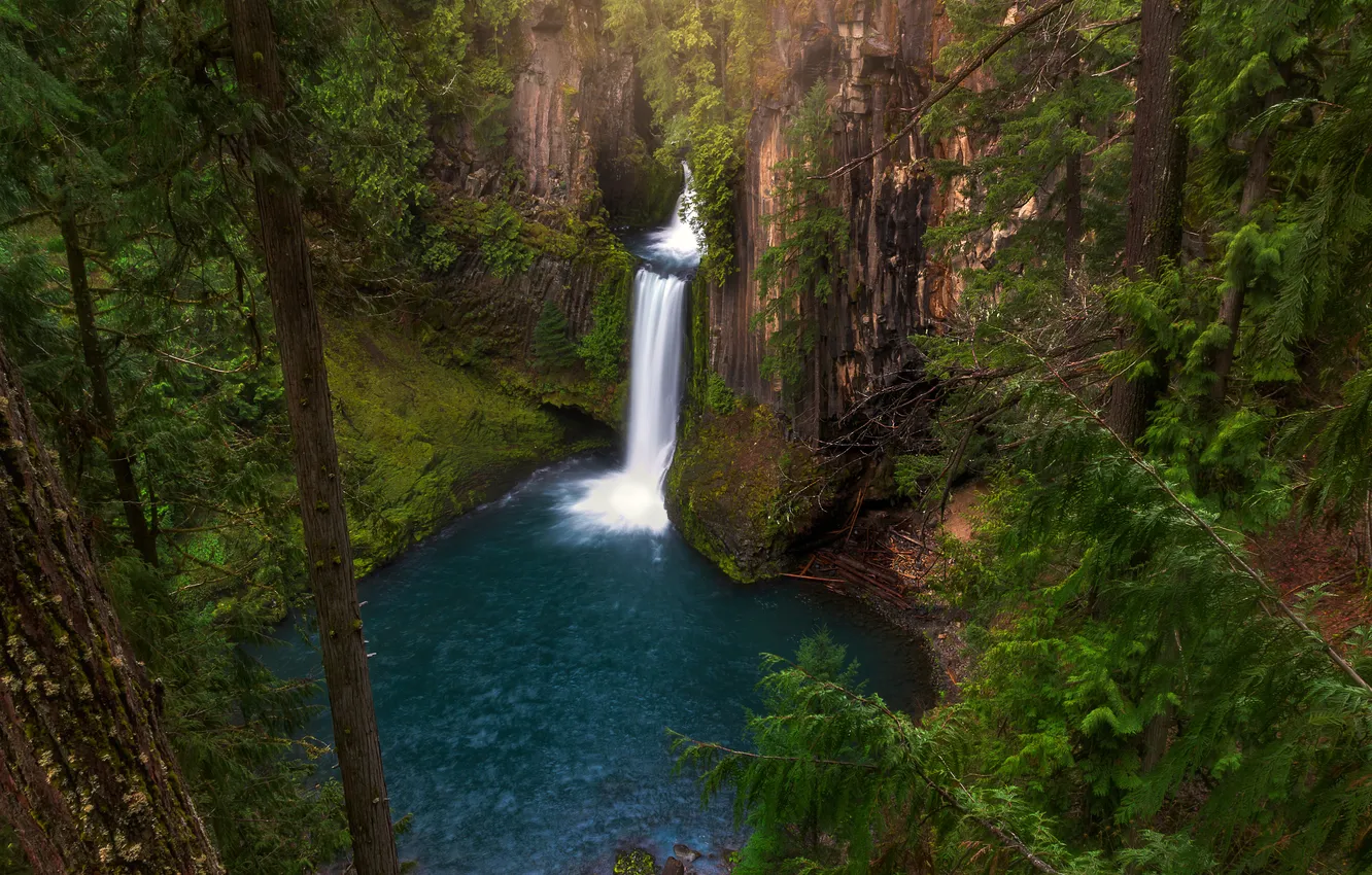Photo wallpaper pond, height, rocks, waterfall, shore, forest