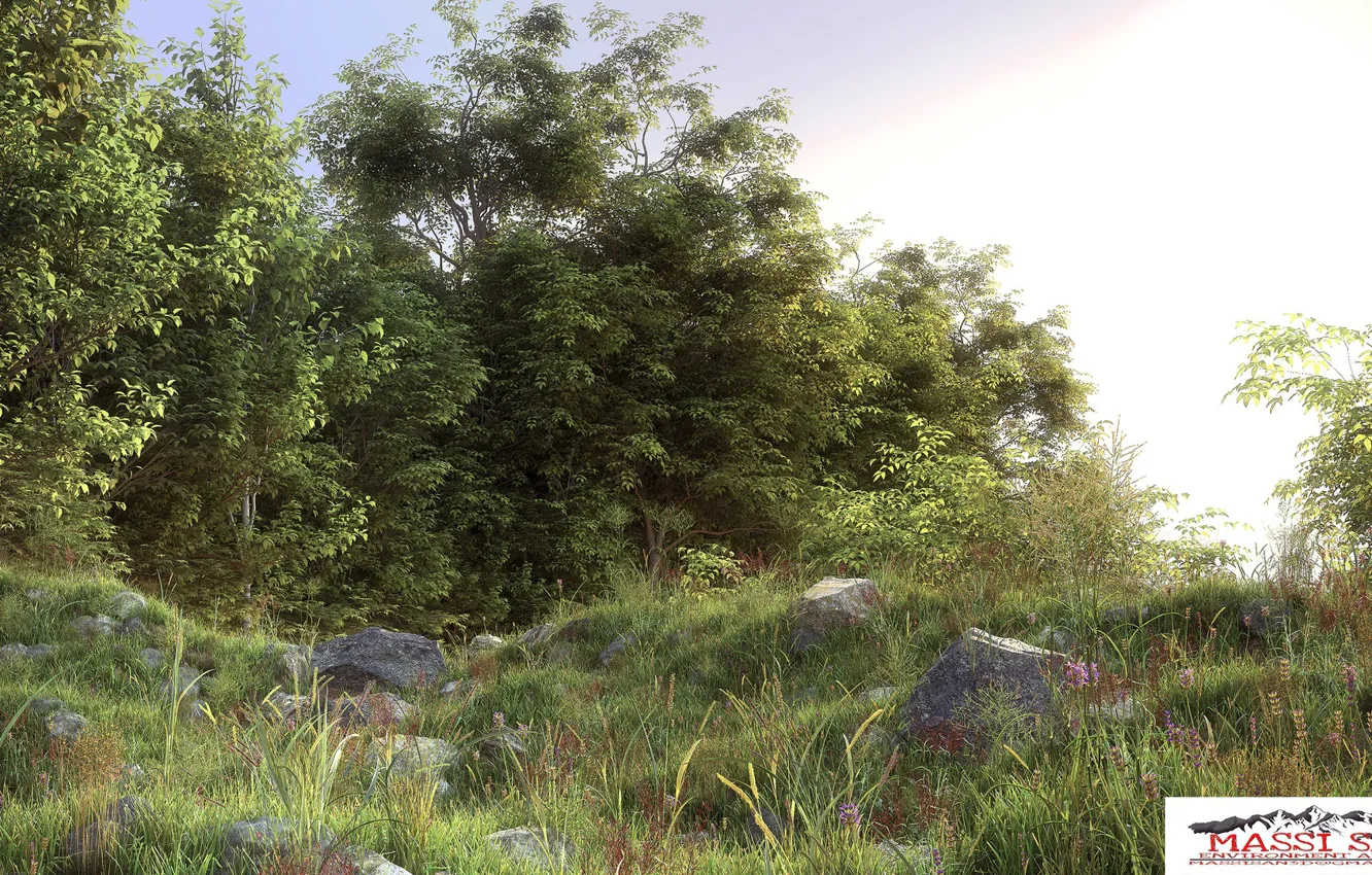 Photo wallpaper summer, nature, stones, vegetation, nature