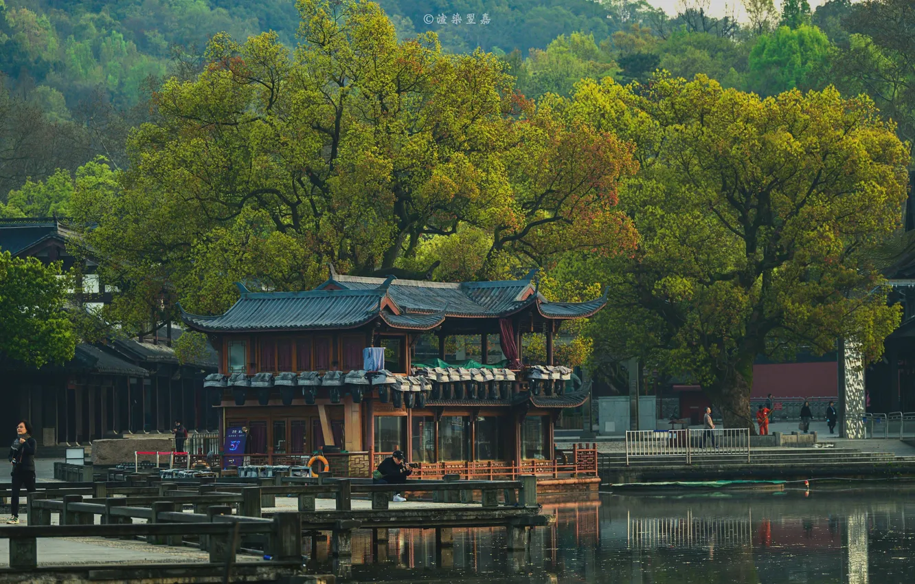 Photo wallpaper trees, Park, river, people, China