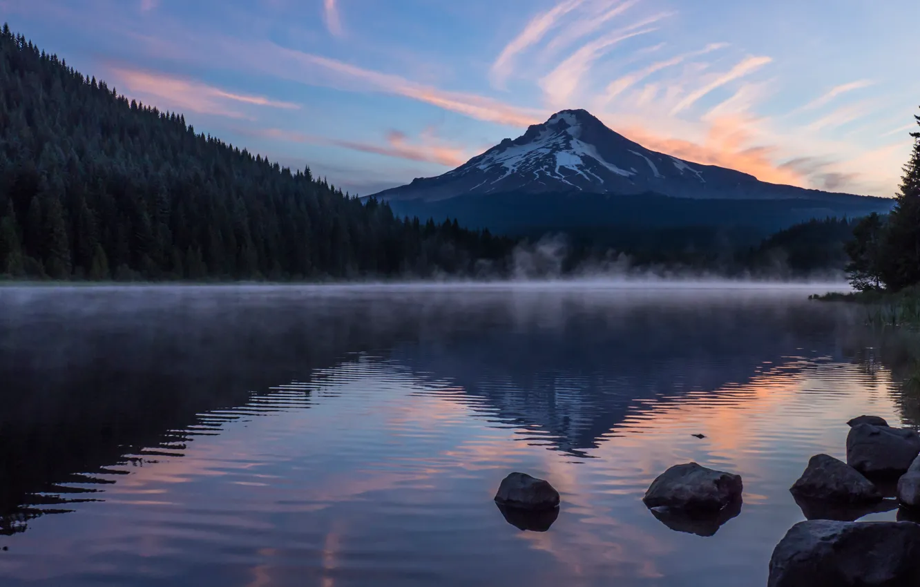 Photo wallpaper forest, the sky, clouds, landscape, mountains, night, nature, fog