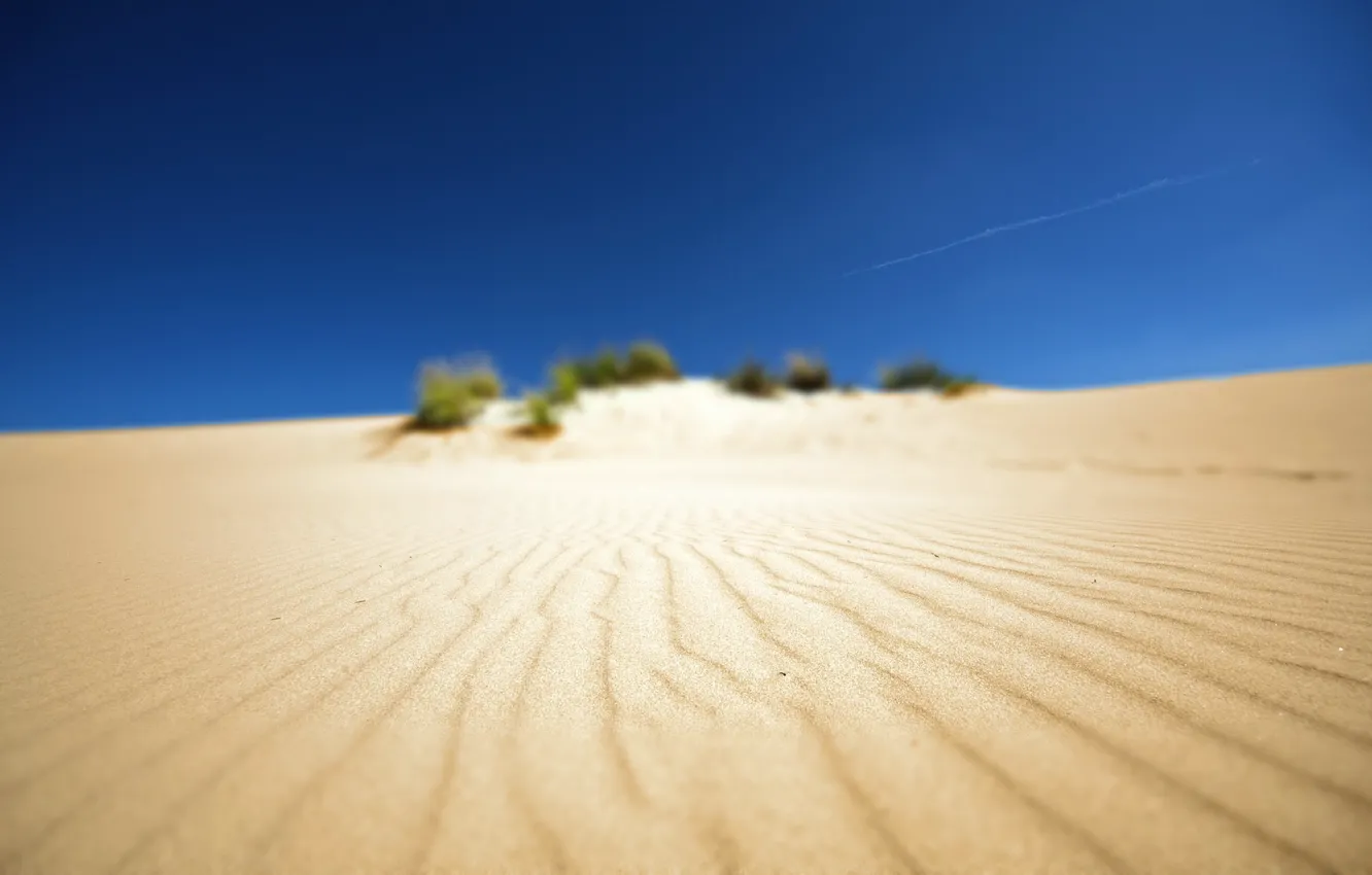 Photo wallpaper sand, beach, photo, desert, landscapes, Africa