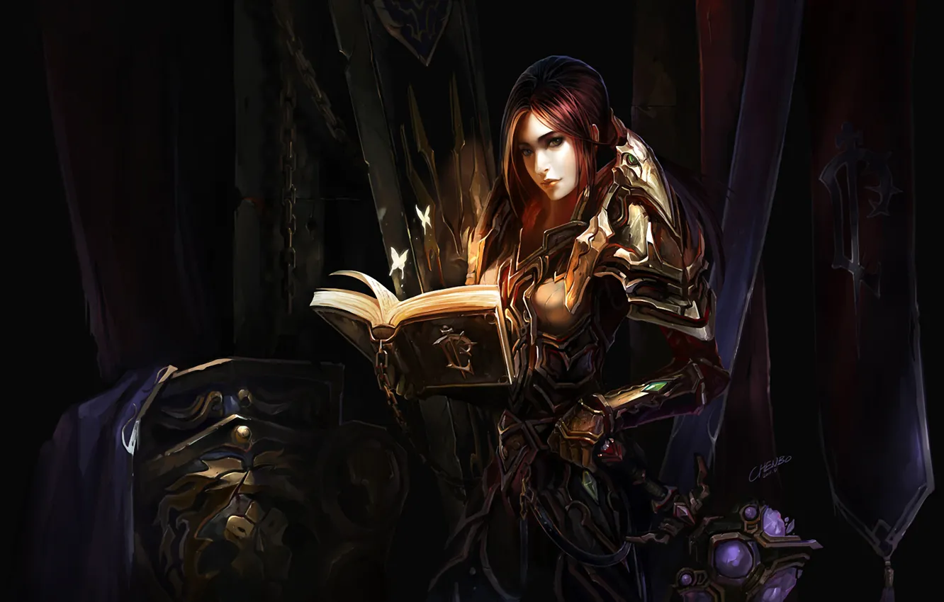 Photo wallpaper girl, weapons, armor, chain, book, World of Warcraft, shield, warrior