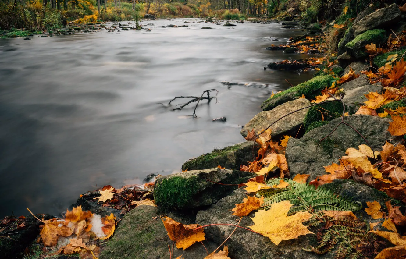 Photo wallpaper river, photography, trees, landscape, nature, water, Autumn, rocks