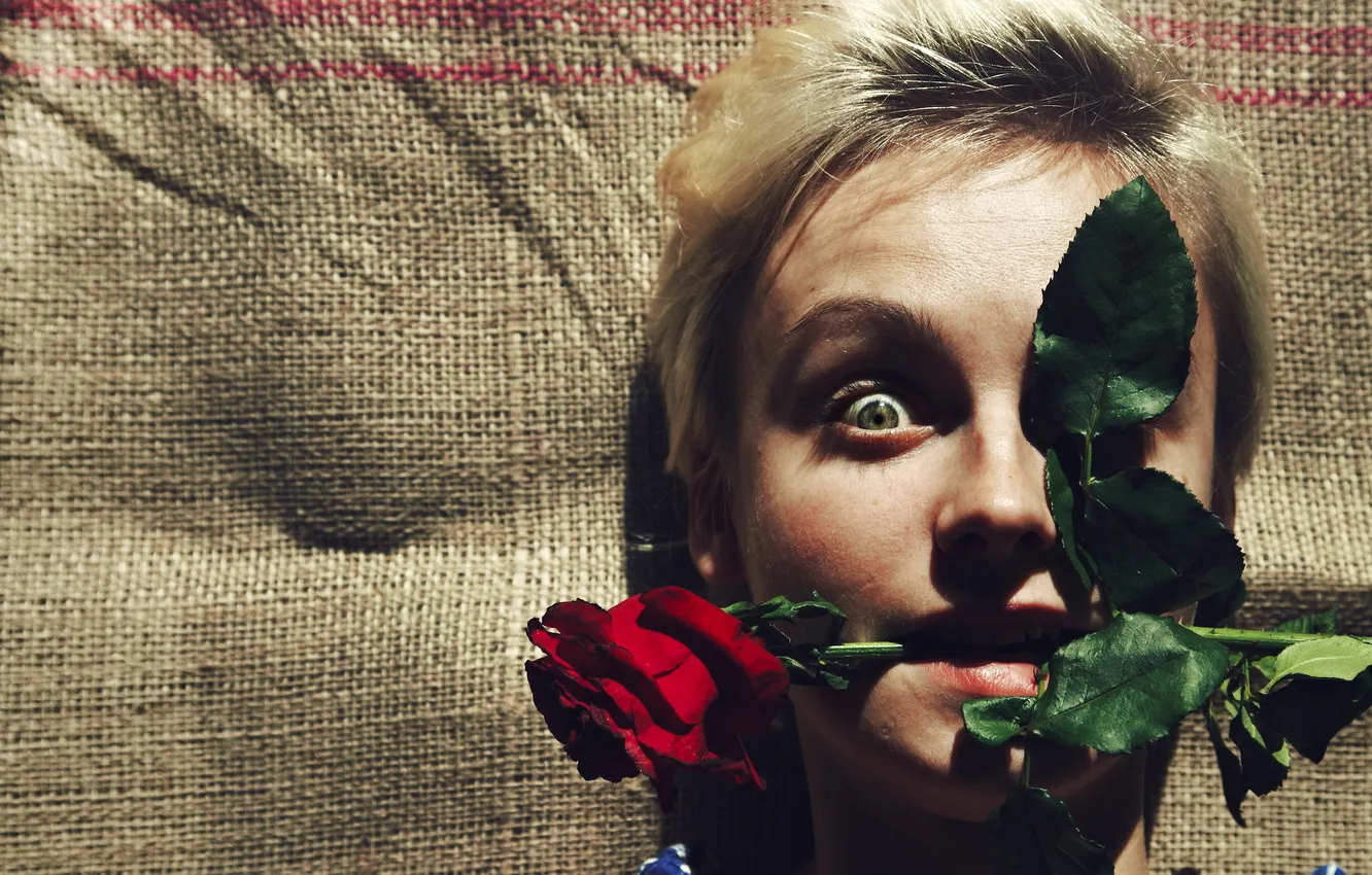 Photo wallpaper girl, background, roses