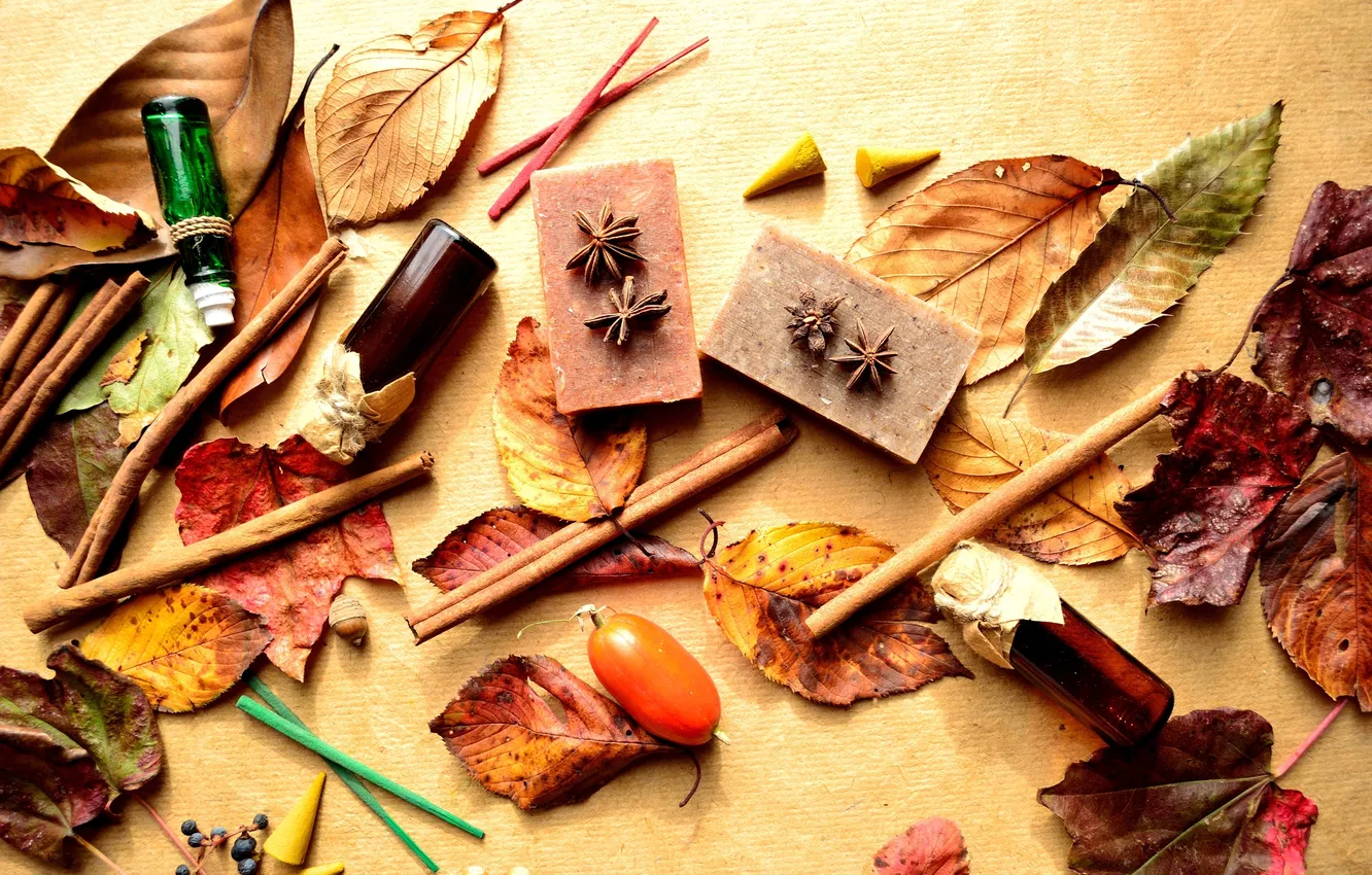 Photo wallpaper leaves, berries, bottle, cinnamon, barberry