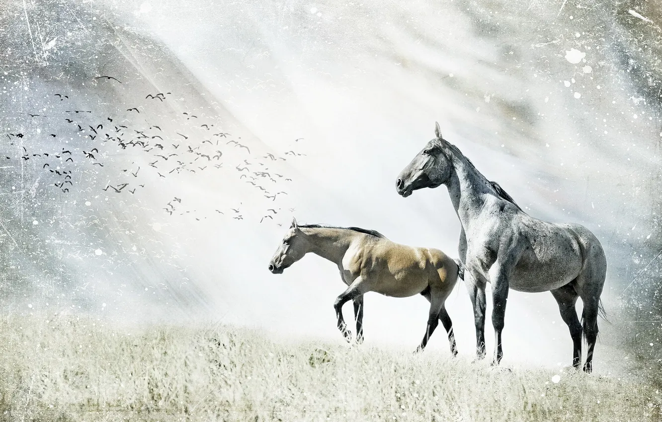 Photo wallpaper nature, style, horses