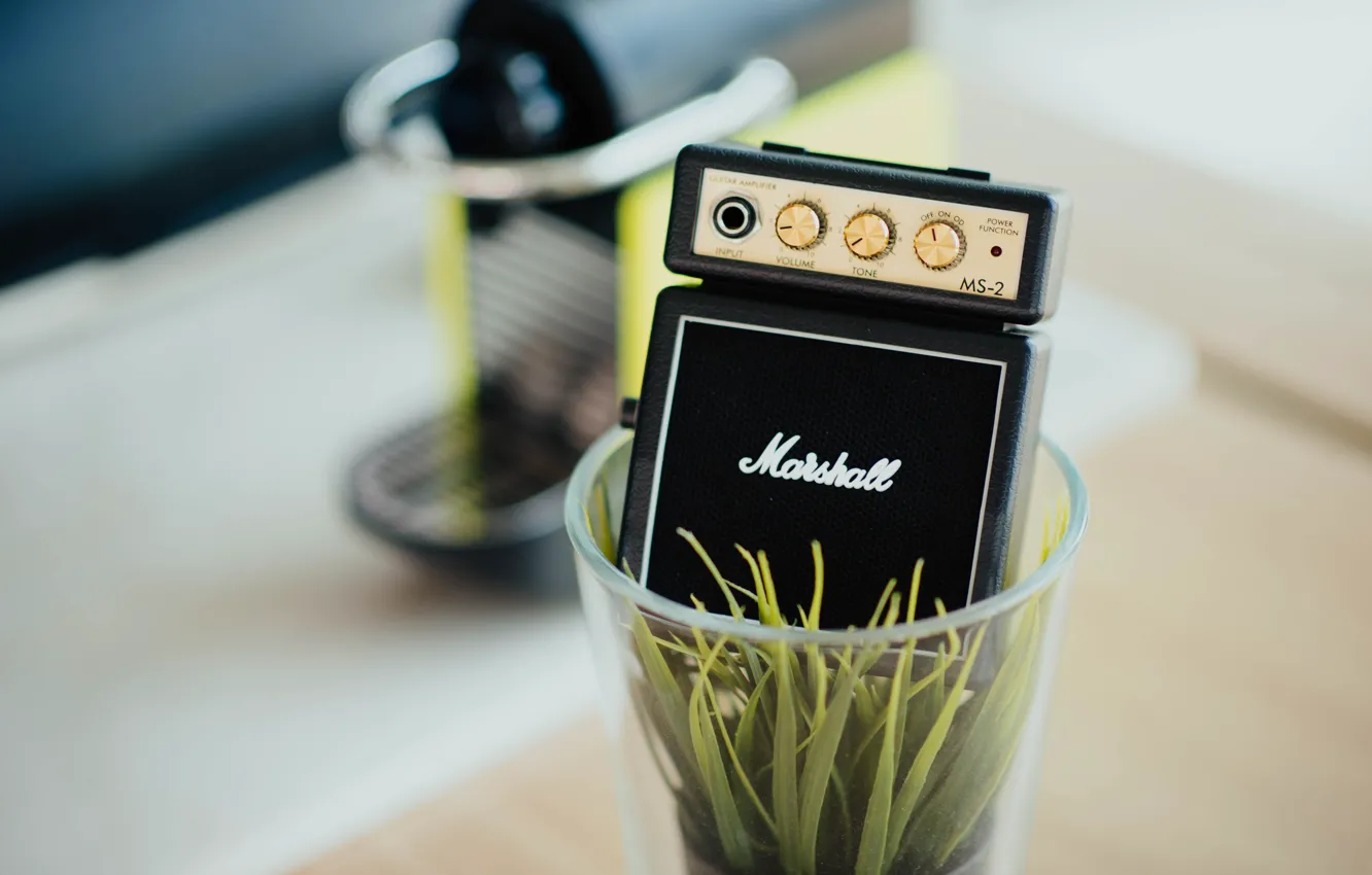 Photo wallpaper glass, music, plant, speakers, glass, Music, plant, coffee machine