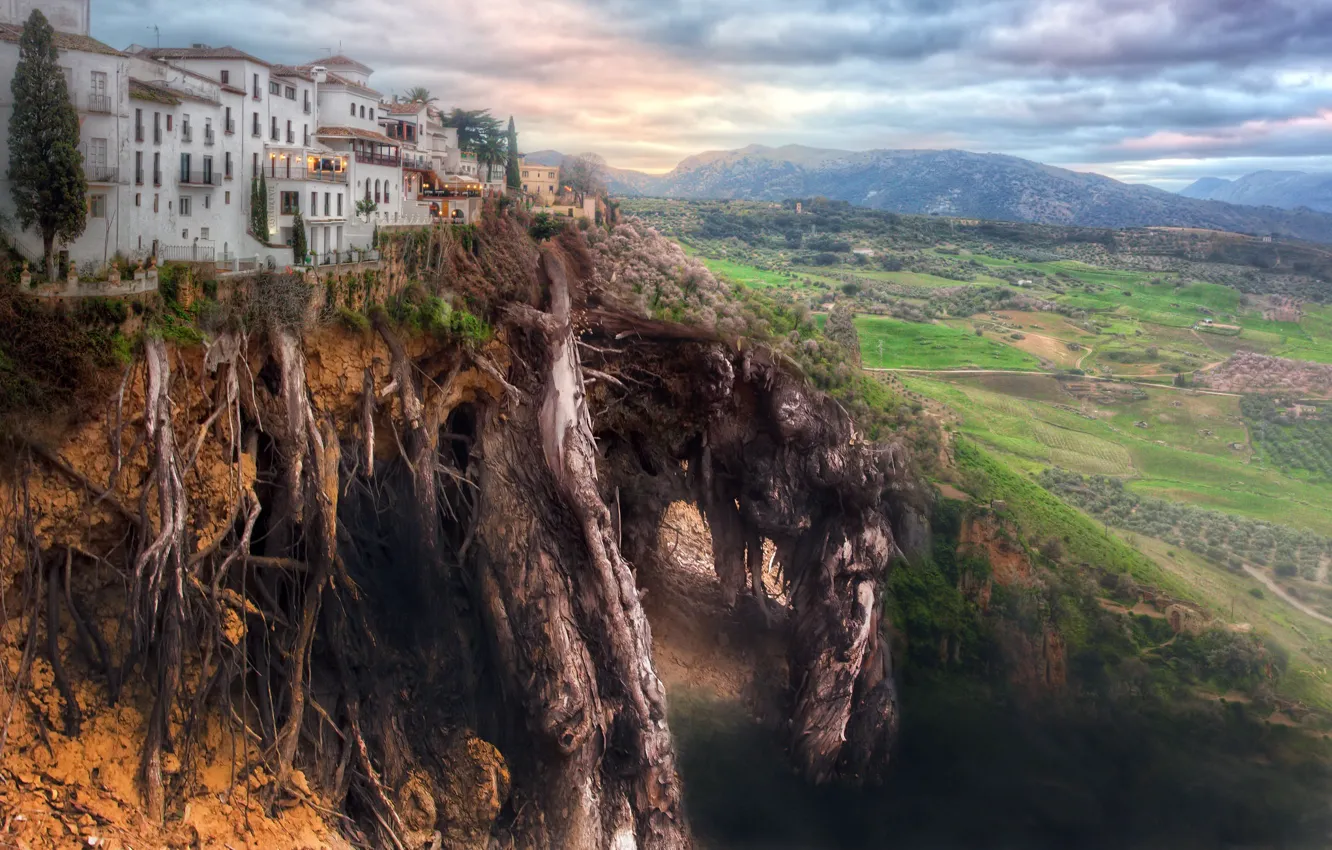 Photo wallpaper the city, roots, earth