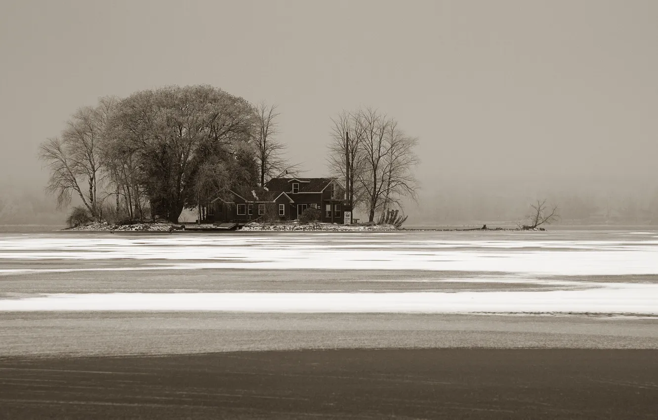 Photo wallpaper winter, trees, fog, lake, home, house, trees, winter