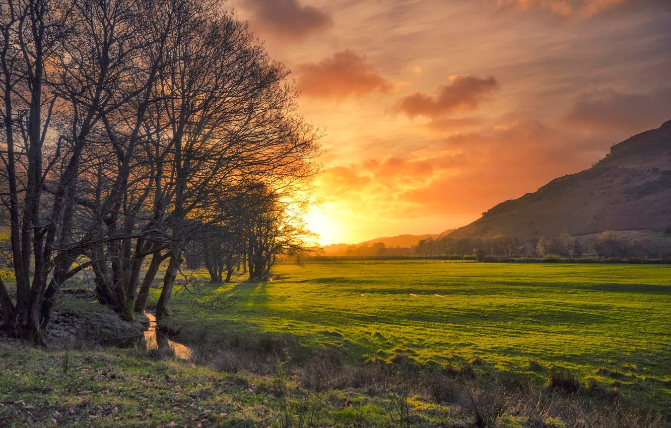 Photo wallpaper field, trees, sunset, stream, England, glow, Cumbria