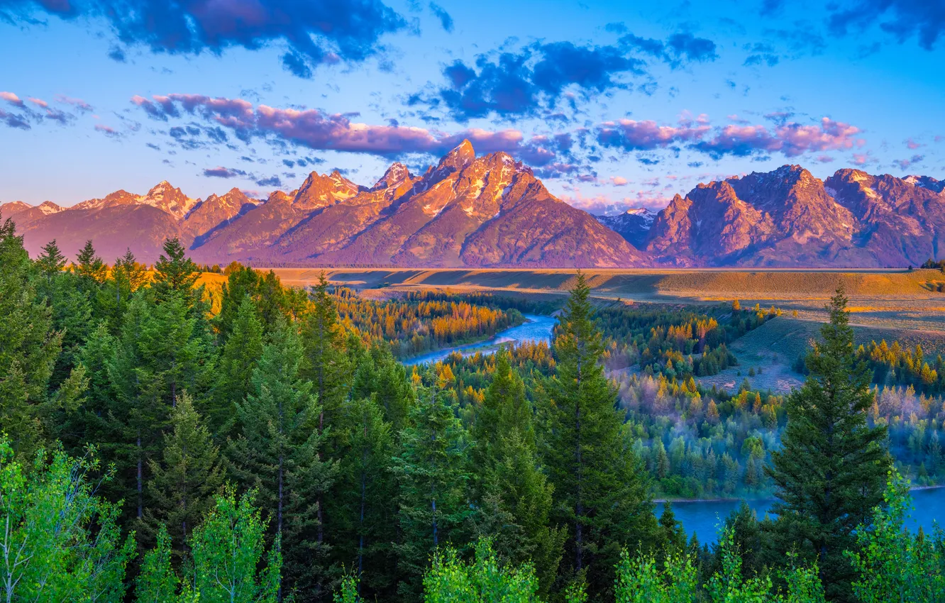 Photo wallpaper forest, mountains, USA, parks, Grand Teton National Park