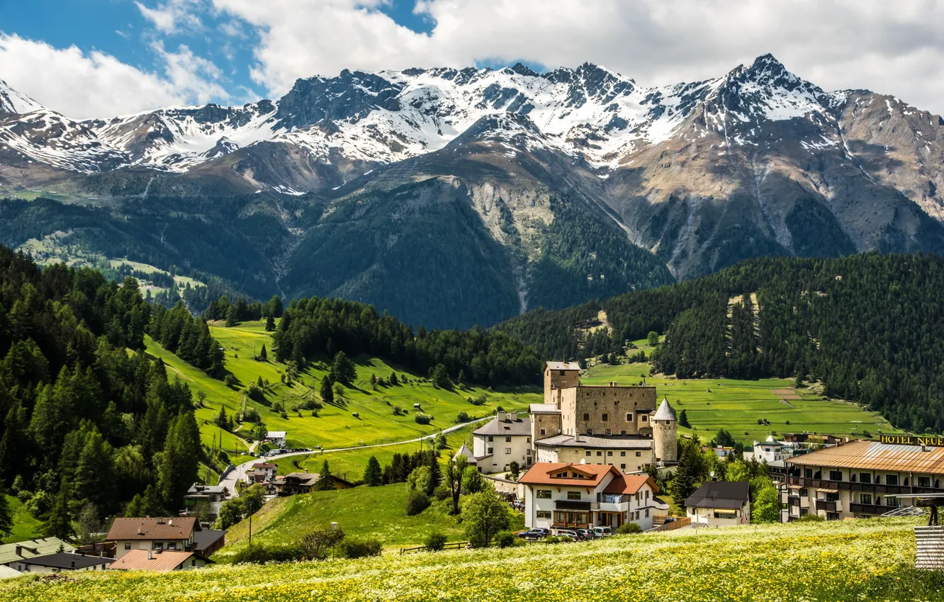 Photo wallpaper greens, field, forest, summer, grass, the sun, clouds, trees