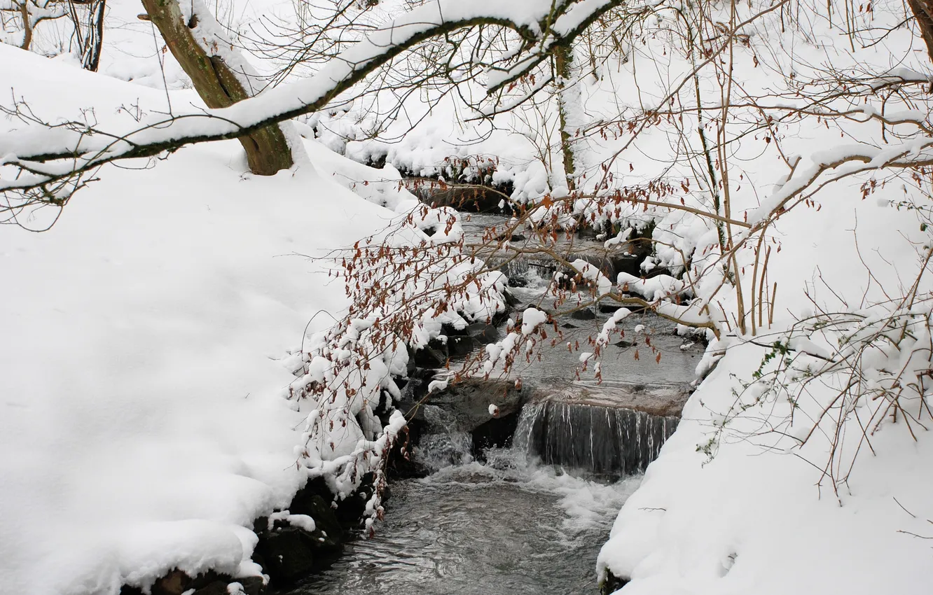 Photo wallpaper winter, forest, snow, trees, stream, the snow