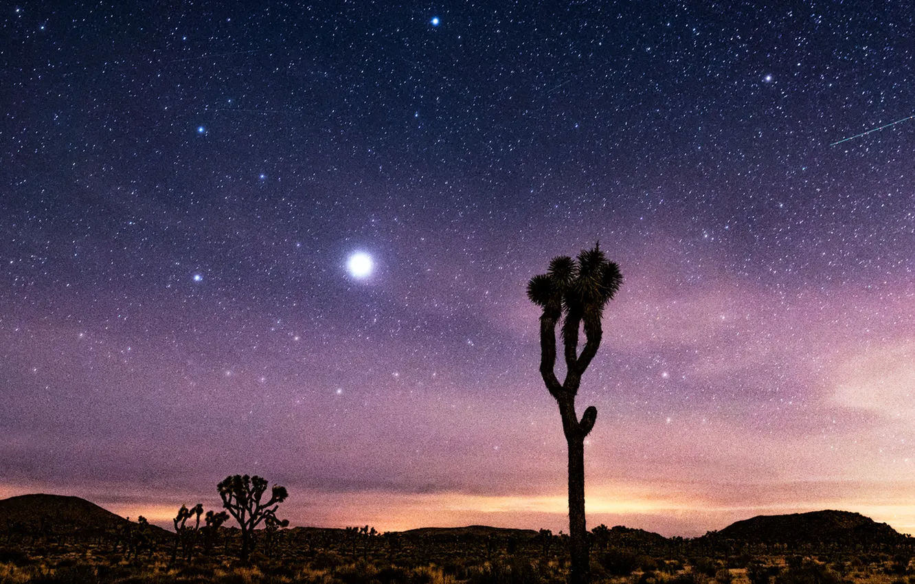 Photo wallpaper sky, desert, stars