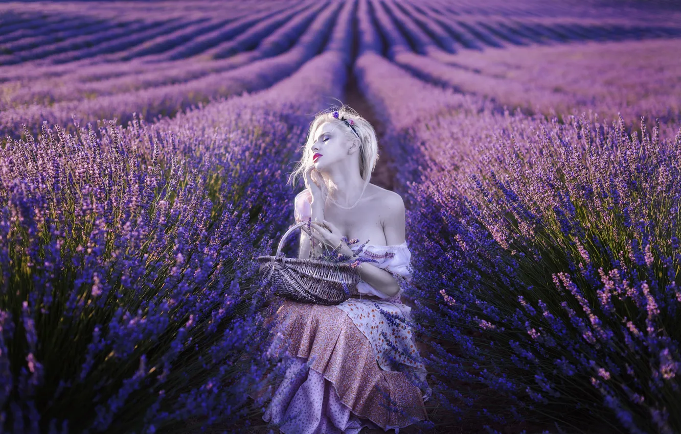 Photo wallpaper summer, girl, lavender
