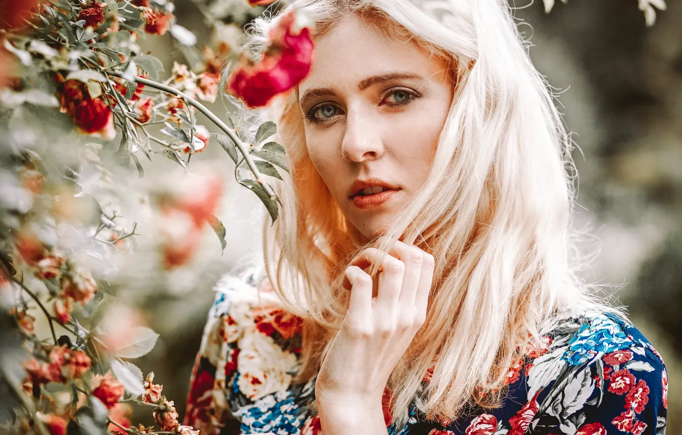 Photo wallpaper look, girl, face, background, model, hair, hands