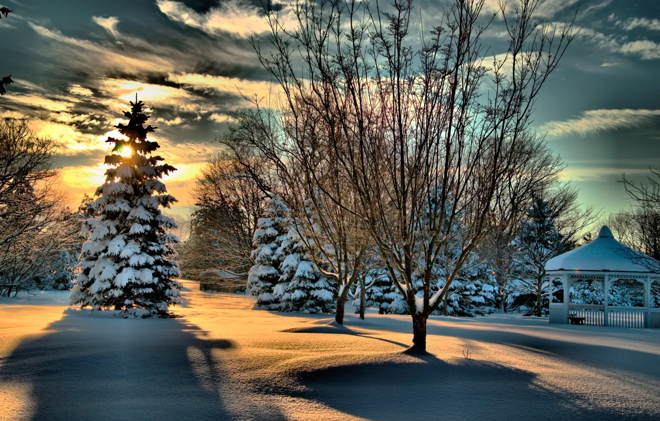Photo wallpaper winter, forest, the sky, the sun, clouds, snow, trees, Park
