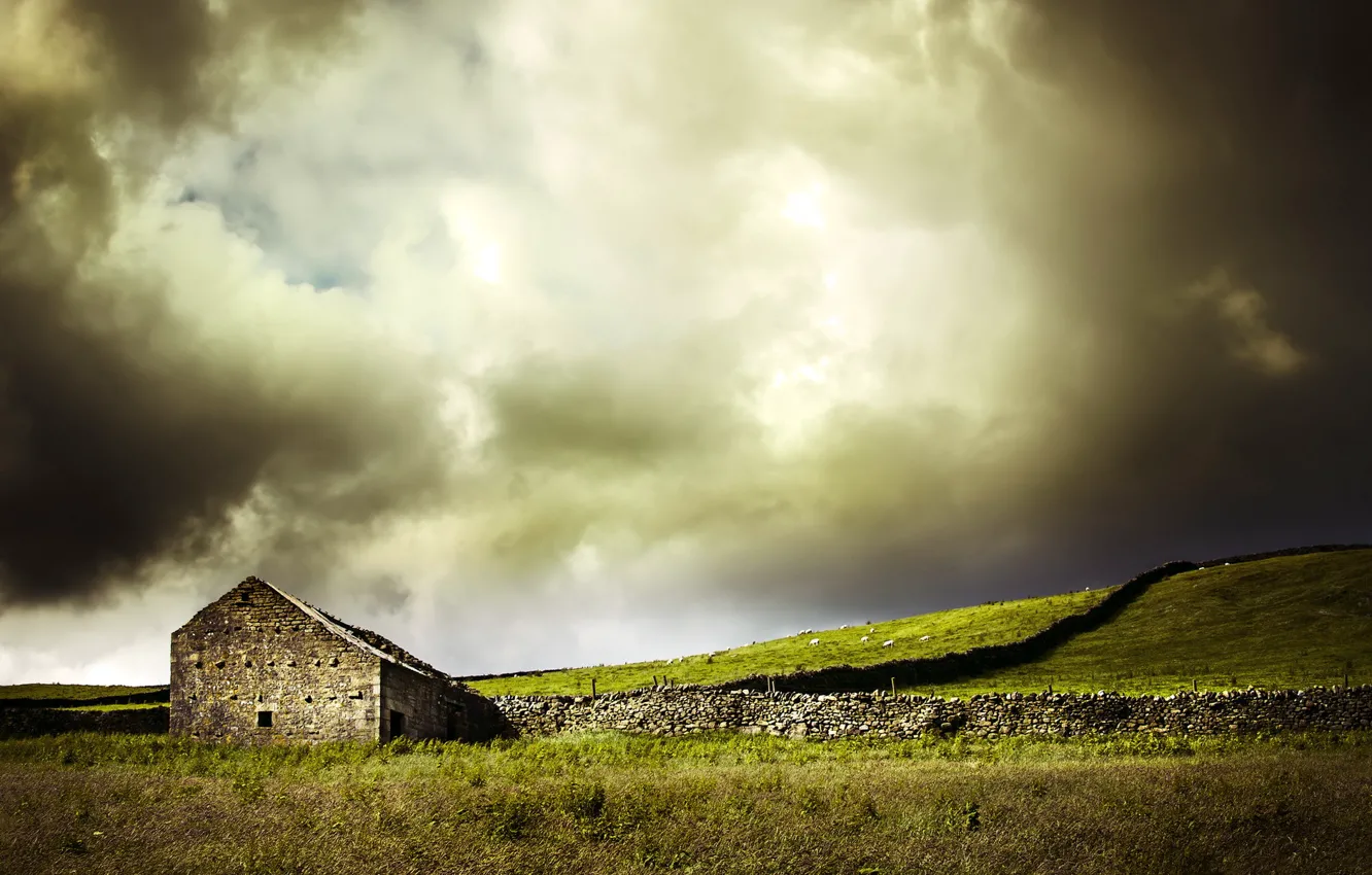 Photo wallpaper field, landscape, home