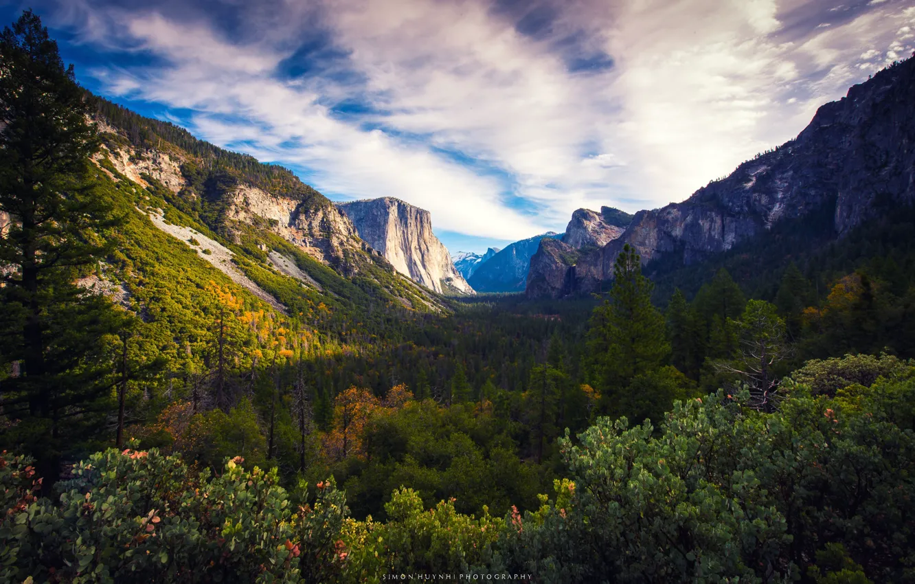 Photo wallpaper forest, the sky, clouds, trees, mountains, rocks, USA, Yosemite
