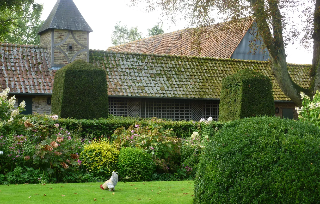 Photo wallpaper grass, trees, design, lawn, home, garden, the bushes