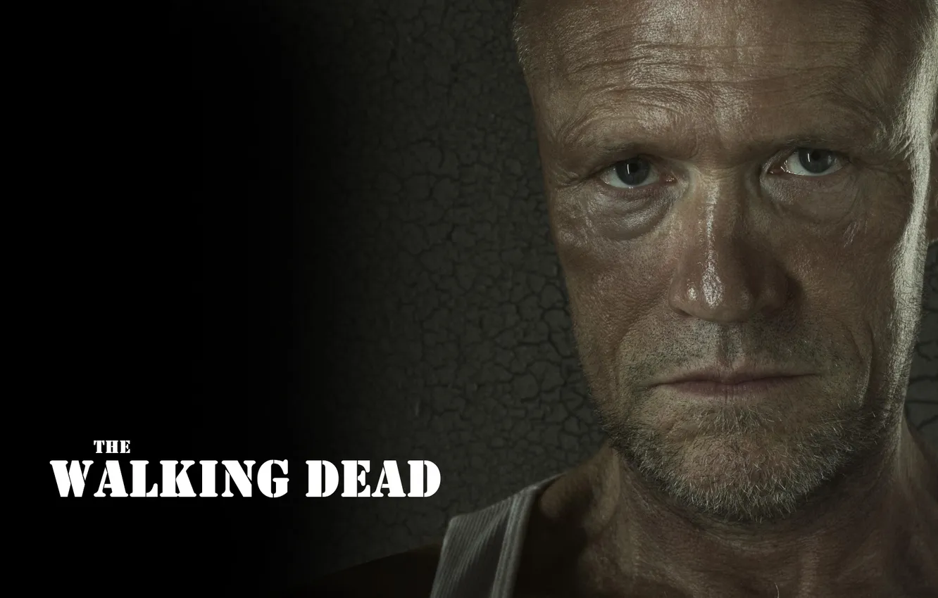 Photo wallpaper look, face, background, the inscription, zombies, zombie, the series, actor