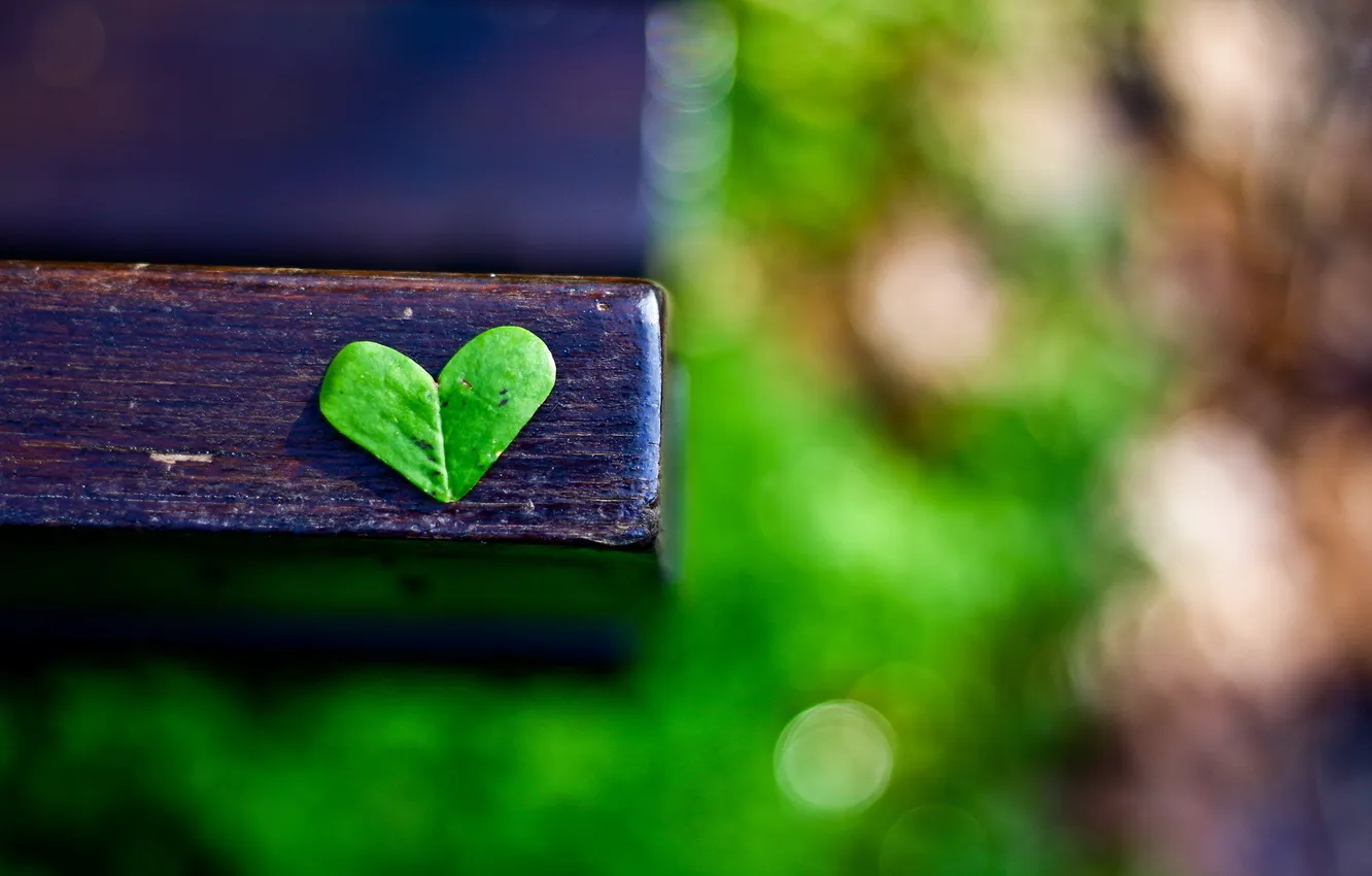 Photo wallpaper leaves, macro, heart