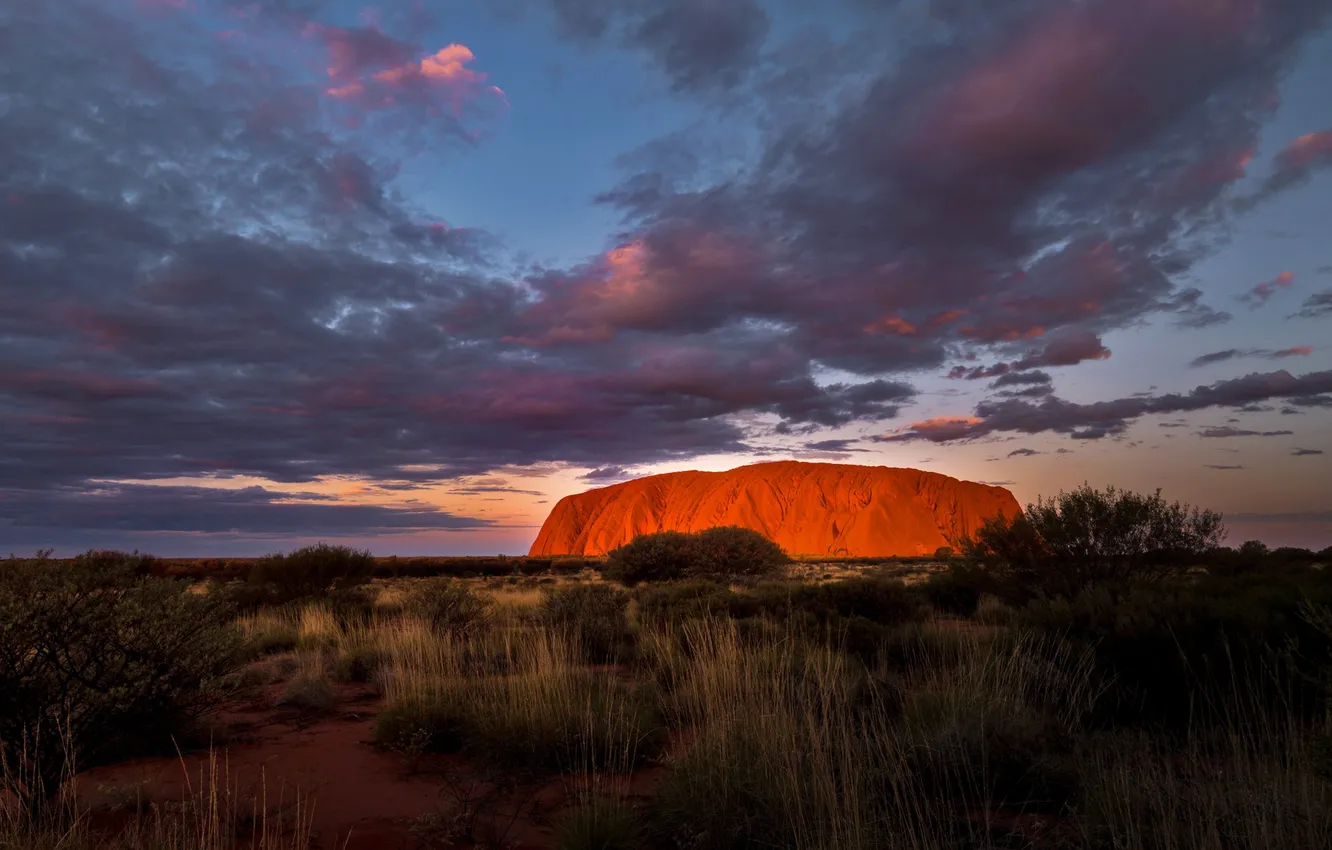 Photo wallpaper clouds, rocks, Australia, glow, national Park, Bush, Uluru-Kata Tjuta