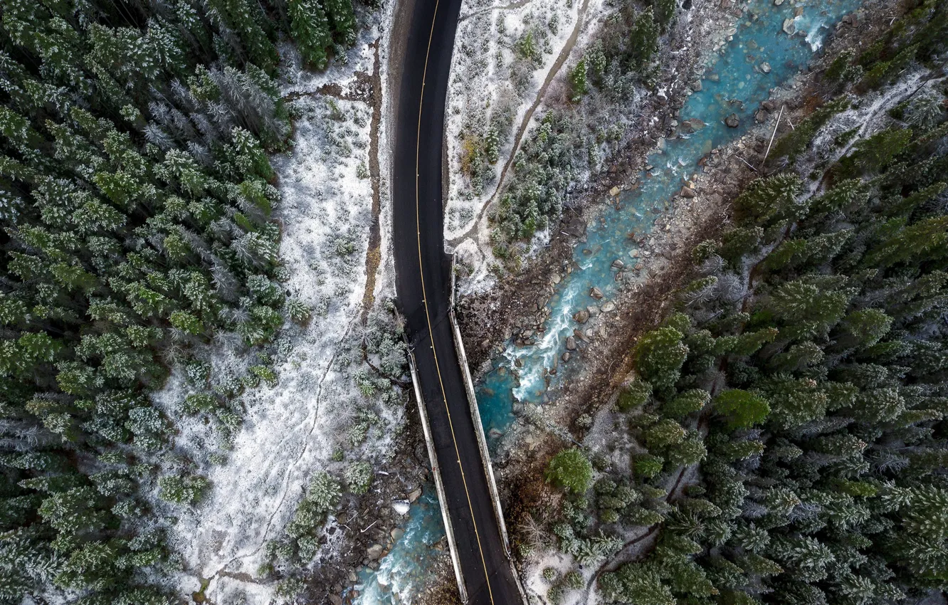 Photo wallpaper road, forest, river