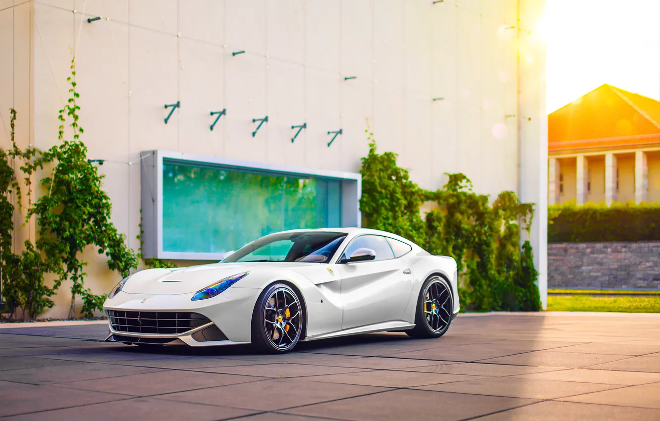 Photo wallpaper Ferrari, Car, Power, Front, Sun, White, Sport, Supercar