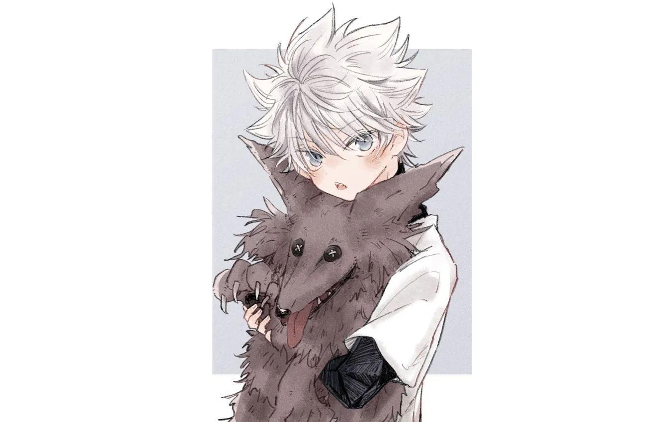 Photo wallpaper dog, Hunter x Hunter, Killua, Hunter x Hunter, Killua Zoldik