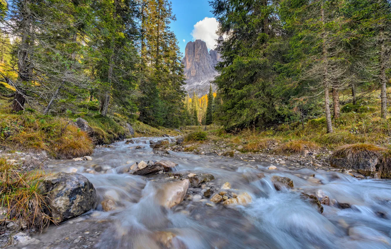Photo wallpaper forest, mountains, stones, river