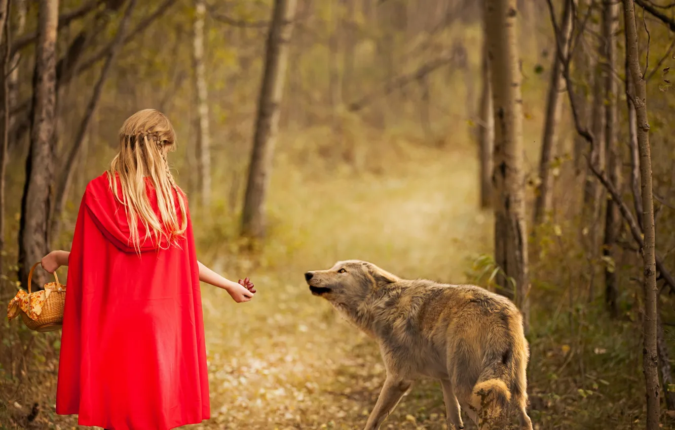 Photo wallpaper forest, wolf, girl, Red and wolf