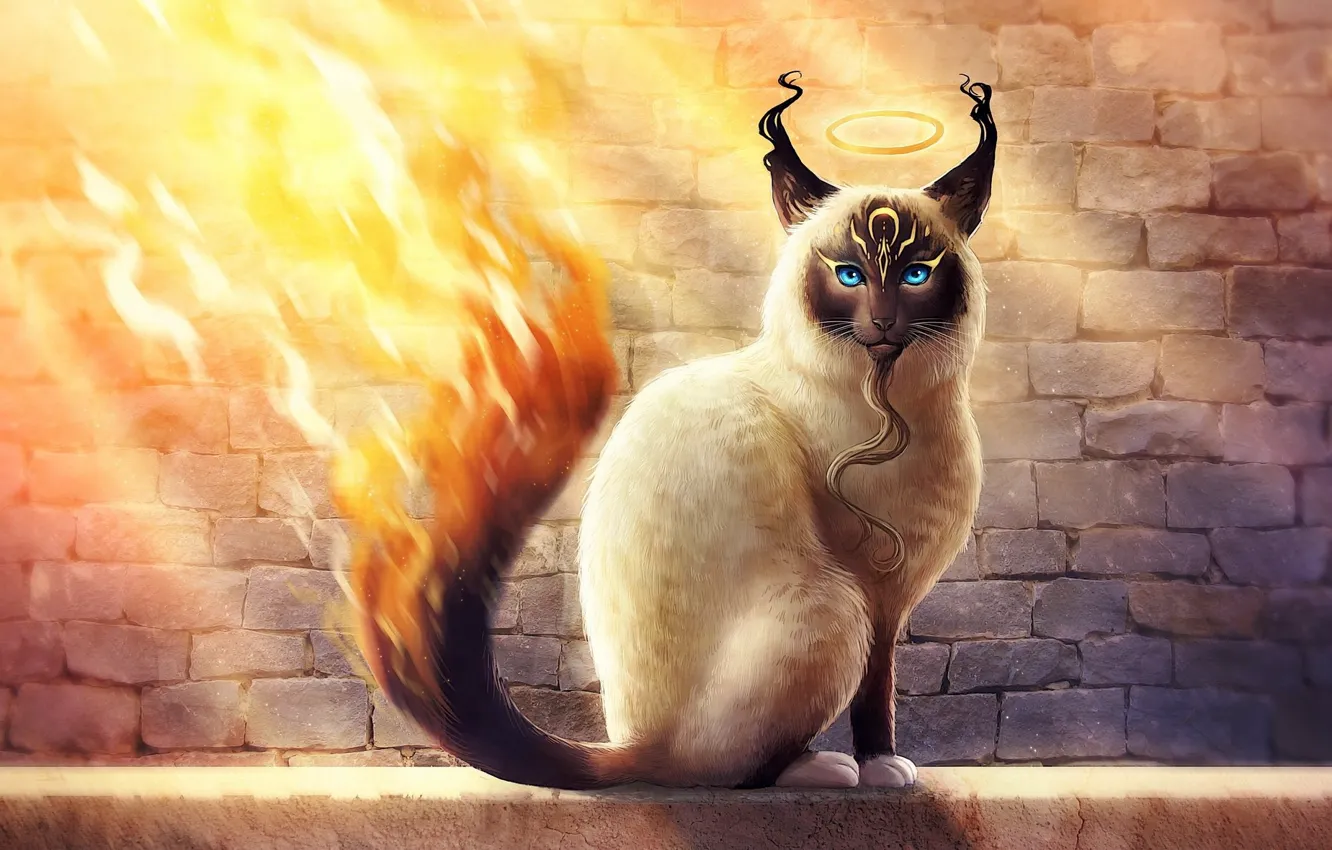 Photo wallpaper cat, wall, fire