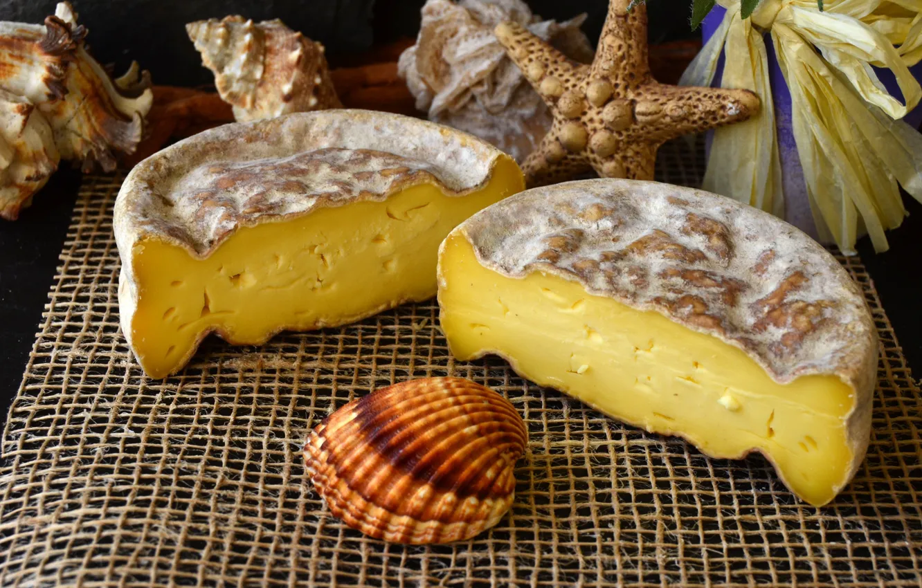 Photo wallpaper cheese, shell, burlap