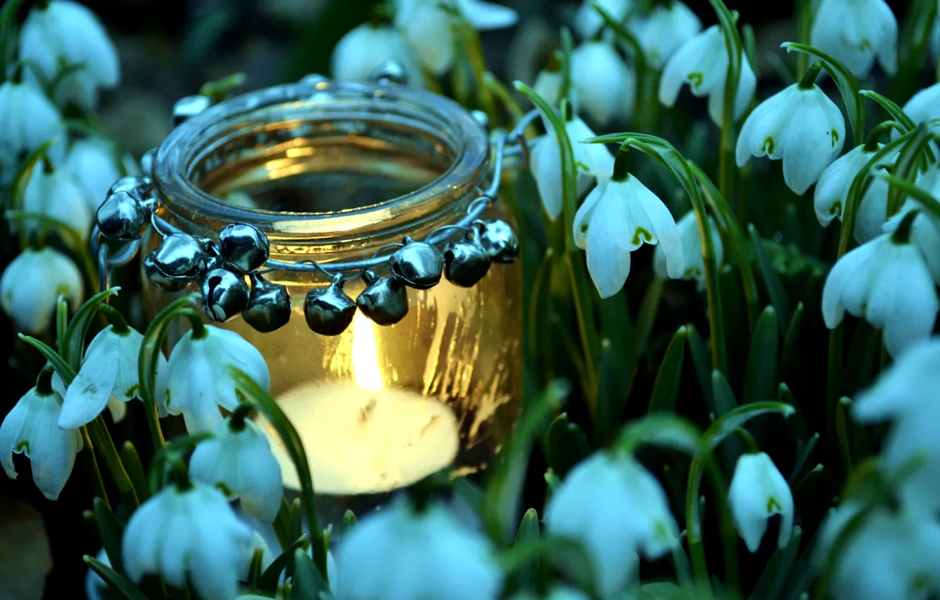 Photo wallpaper fire, spring, snowdrops, candle, jar
