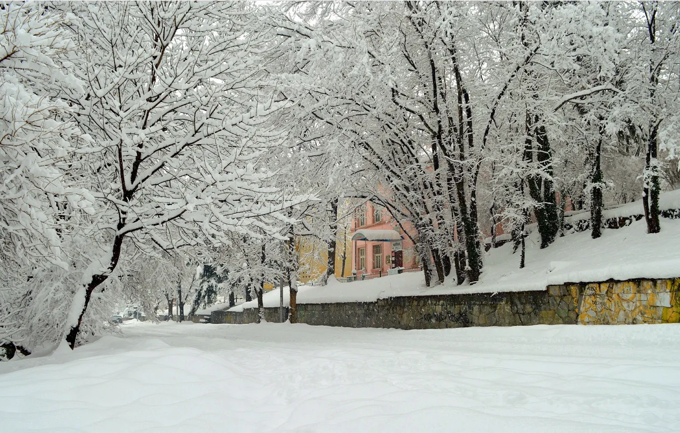 Photo wallpaper trees, the city, Winter, Snow, Winter, Frost, Snow, Trees