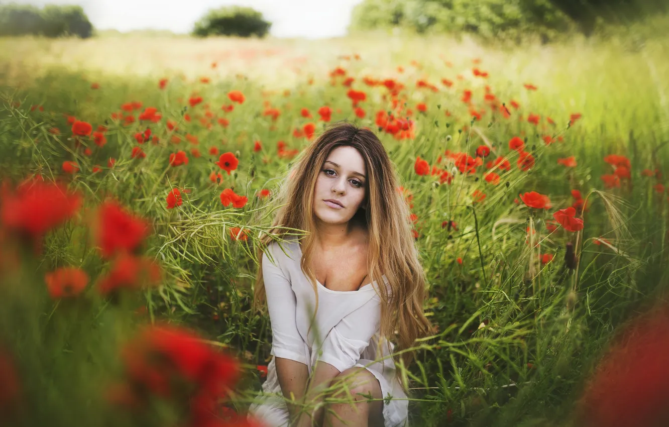 Photo wallpaper field, girl, flowers, hair, dress, lips, direct look