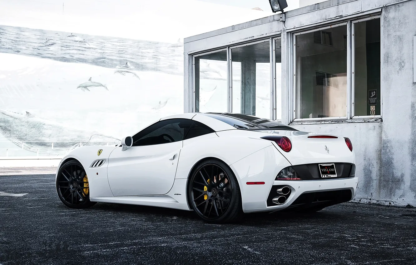 Photo wallpaper white, the building, Windows, white, california, ferrari, Ferrari, rear view