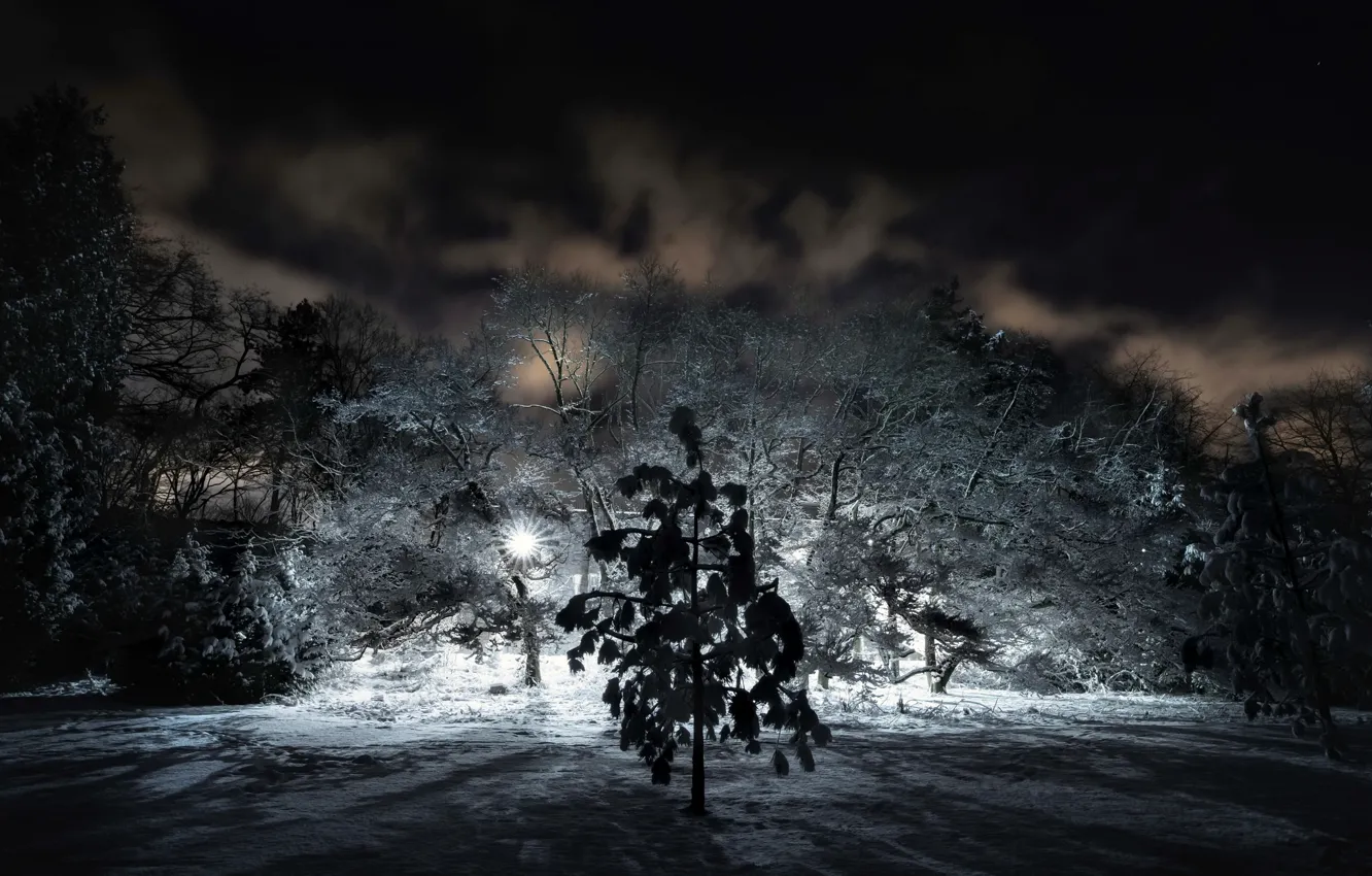 Photo wallpaper winter, night, nature