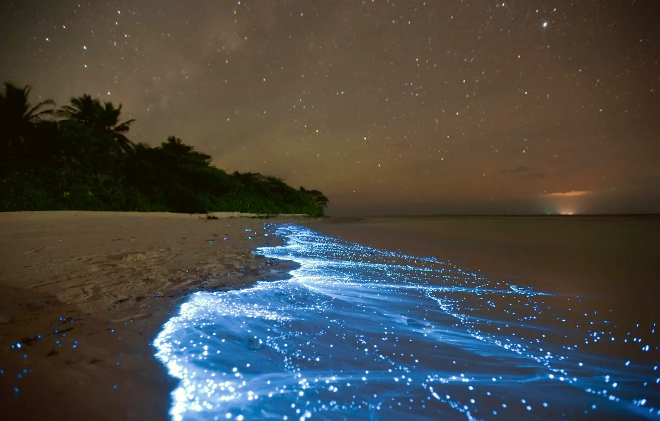 Photo wallpaper sea, coast, night, plankton