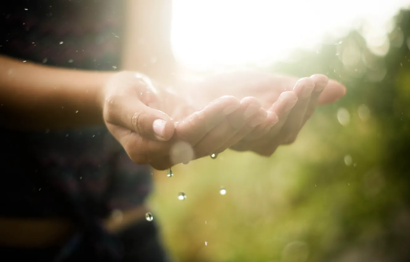 Photo wallpaper water, drops, macro, light, hands