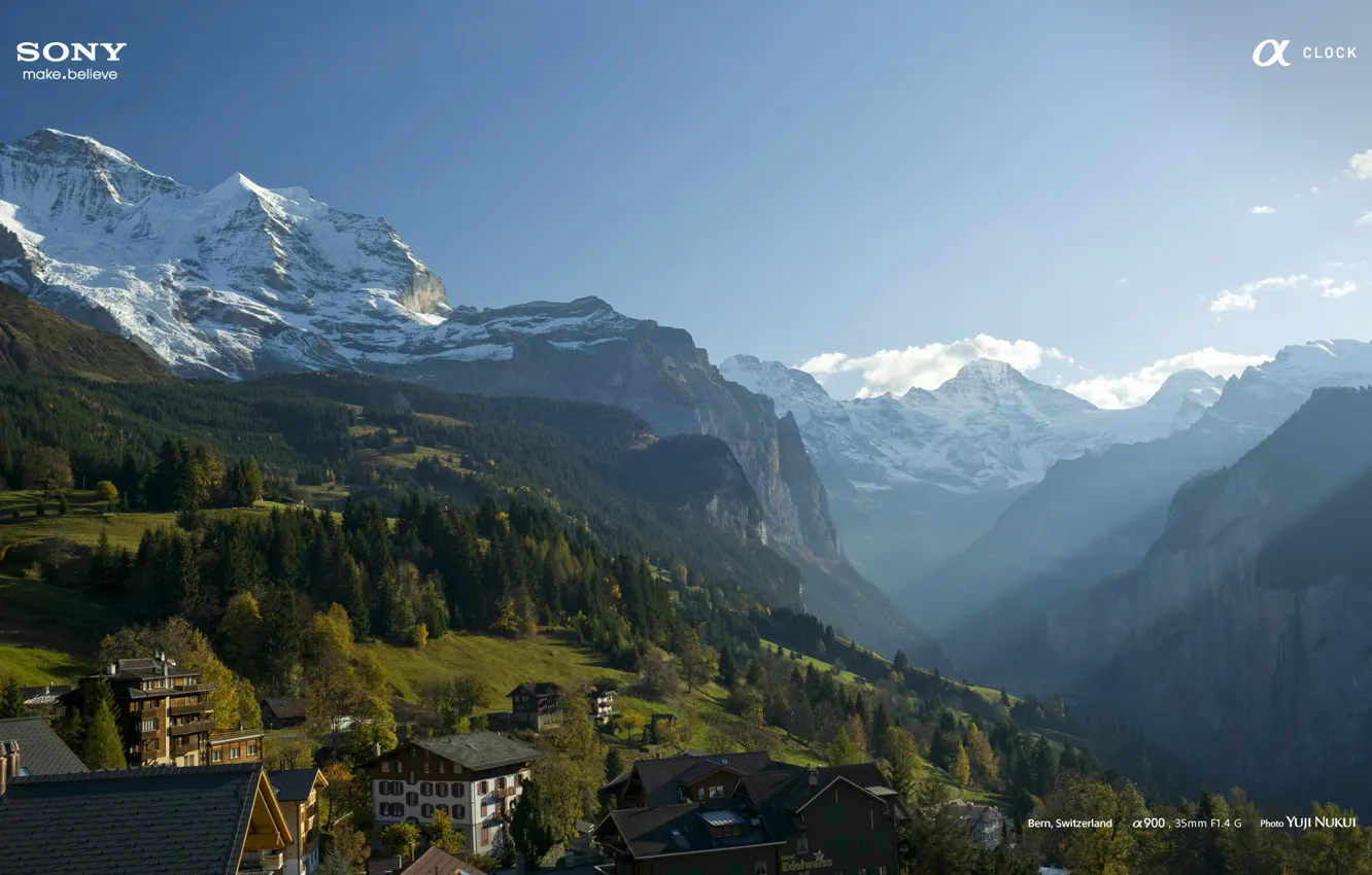 Photo wallpaper forest, landscape, mountains, nature, background, glade, tree, home