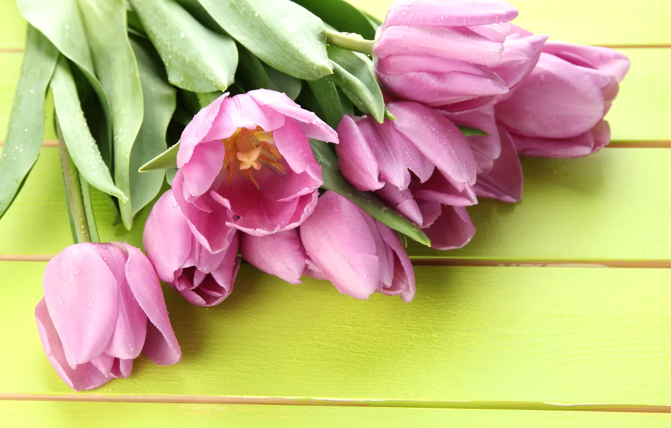 Photo wallpaper flowers, bouquet, tulips, pink, wood, pink, flowers, beautiful