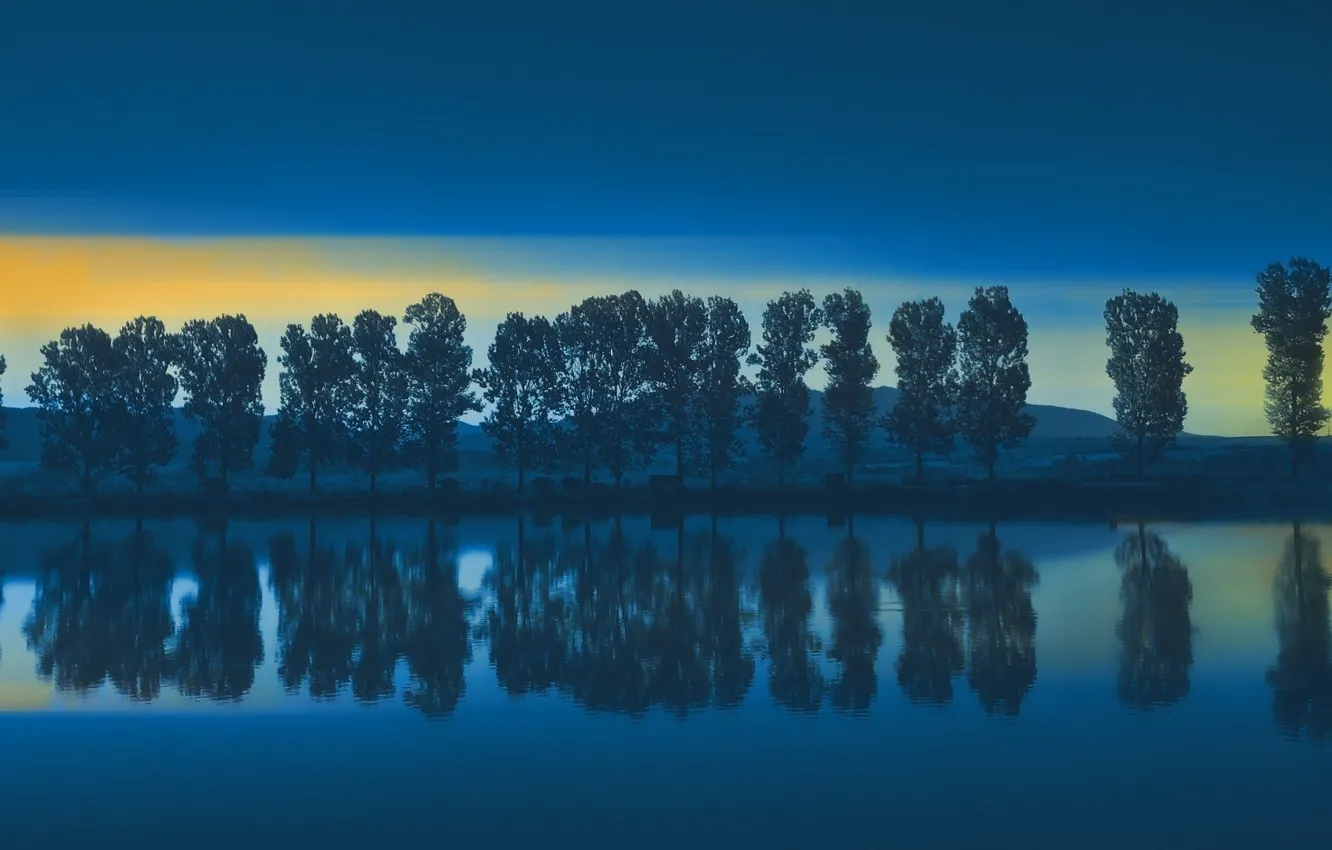 Photo wallpaper trees, reflection, river, shore, morning