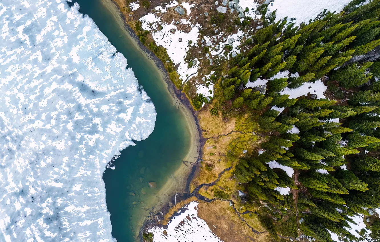 Photo wallpaper forest, snow, river, the view from the top