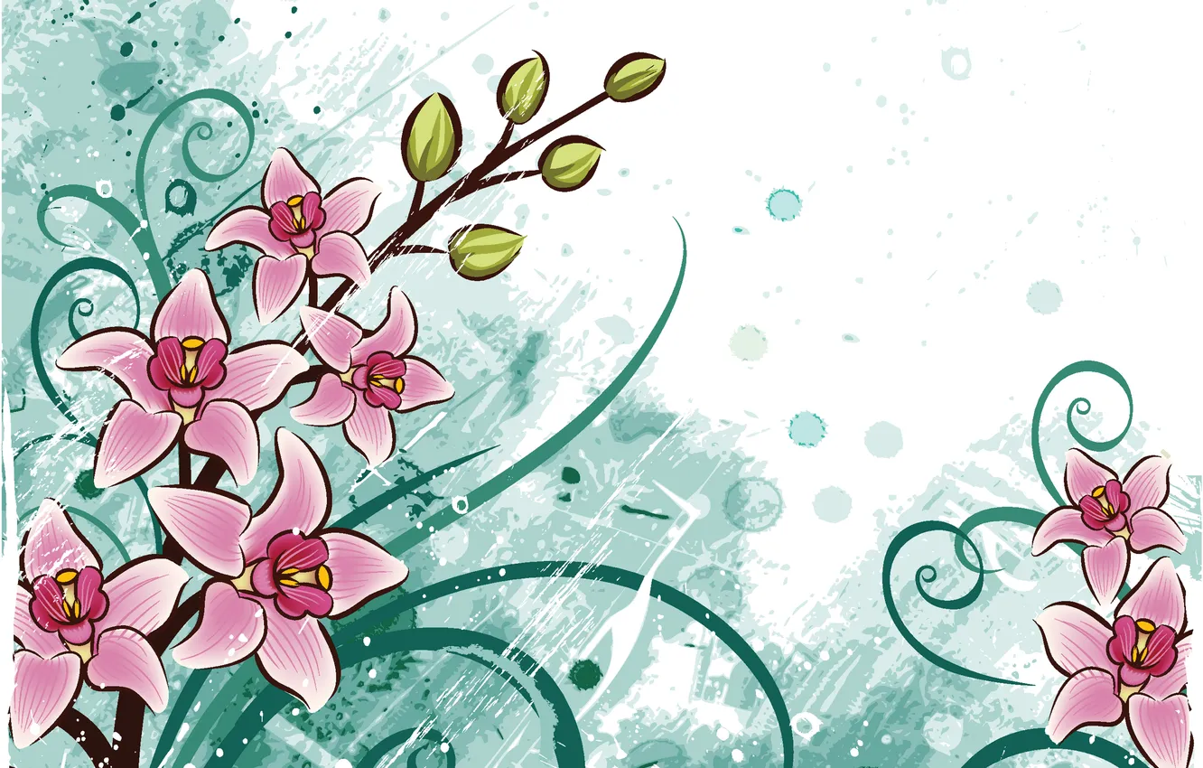 Photo wallpaper leaves, flowers, background, vector, petals