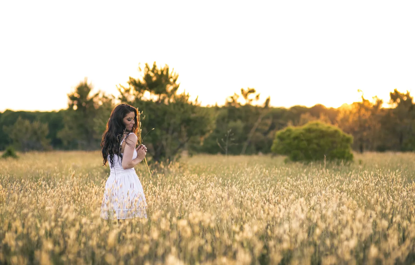 Photo wallpaper field, girl, sunset, hair, back, dress, lips