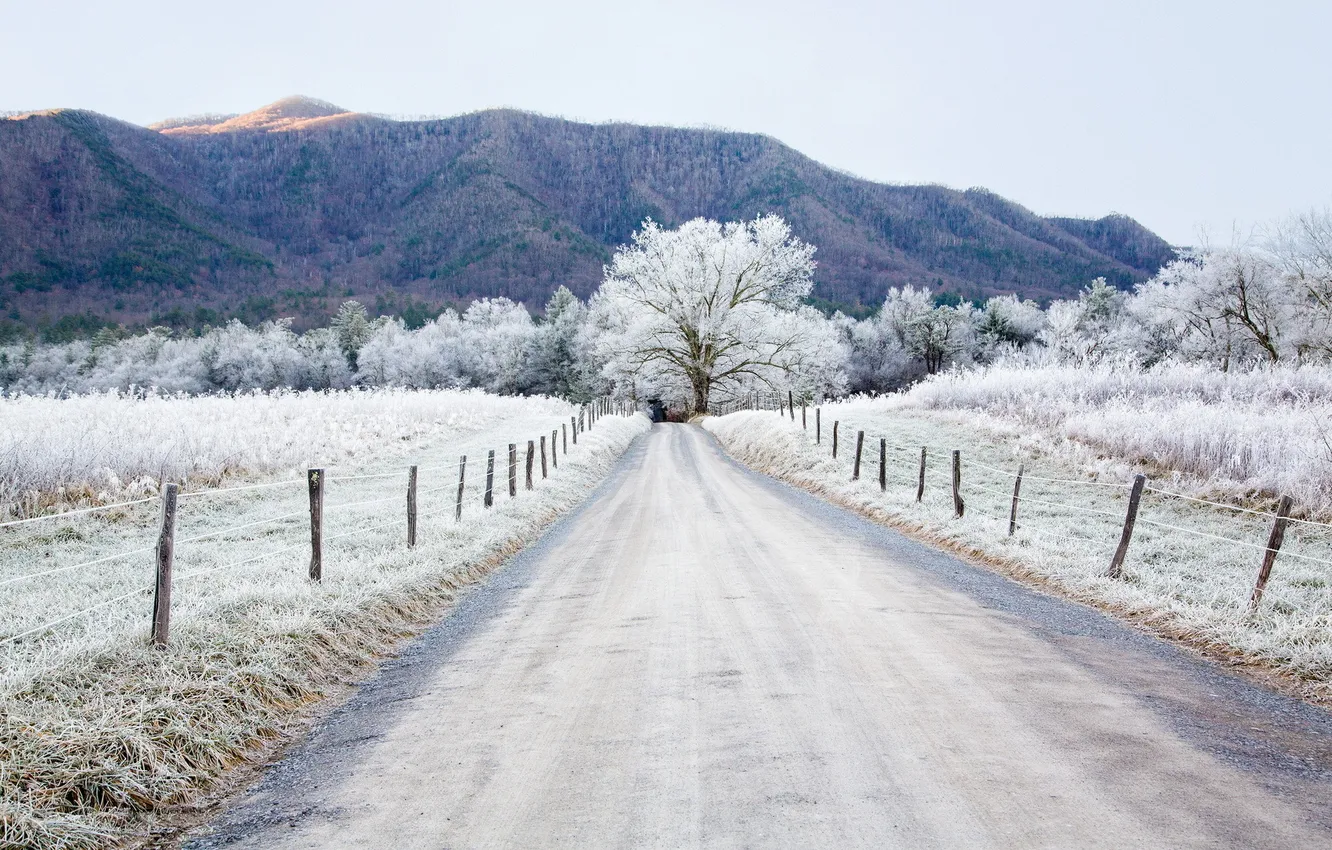 Photo wallpaper frost, road, landscape, the fence