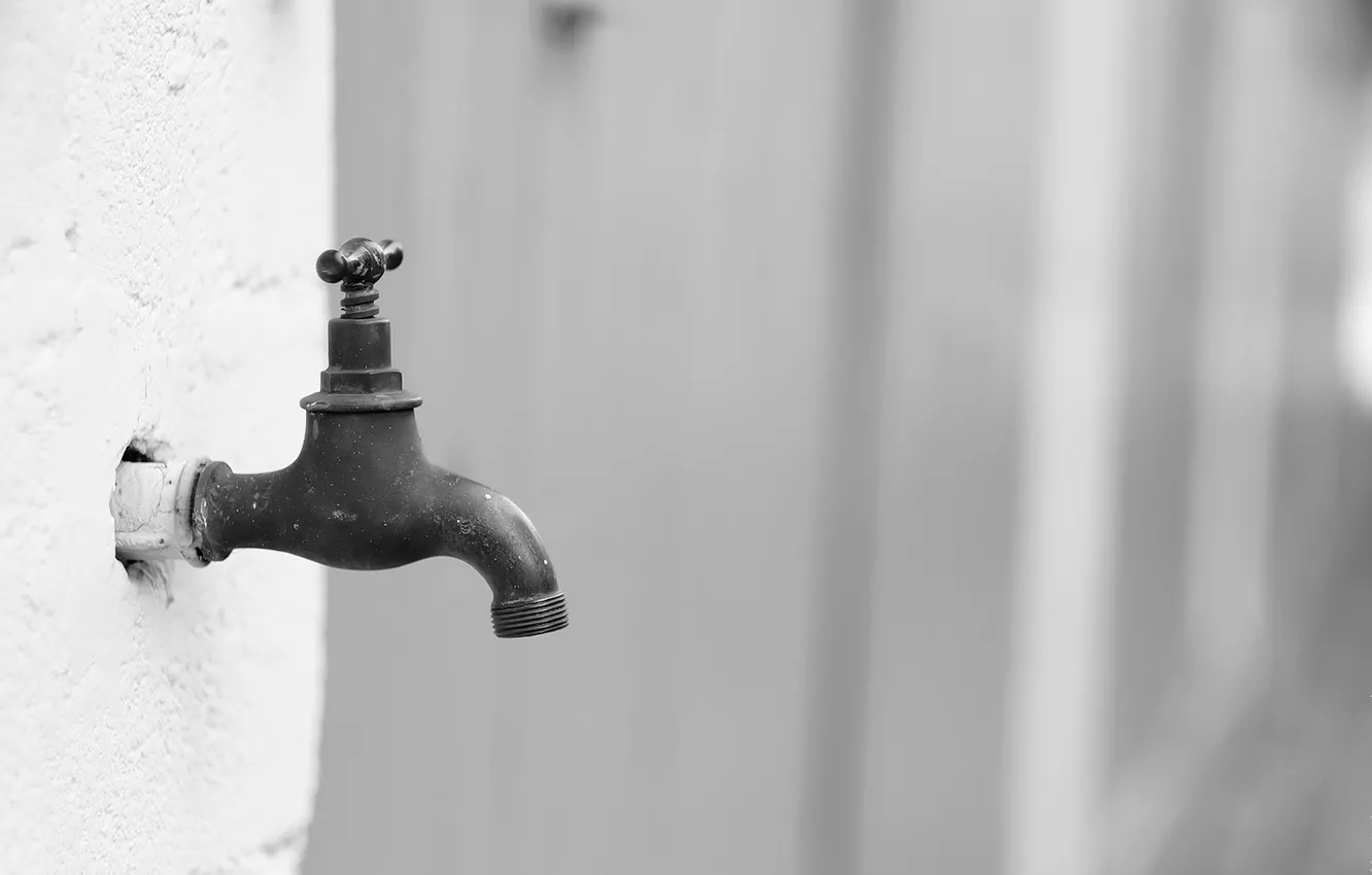 Photo wallpaper macro, background, crane